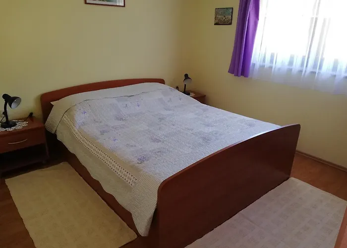 아파트 Mirjana 브르사르